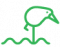 Illustration PBA About Us kiwi Icon Green